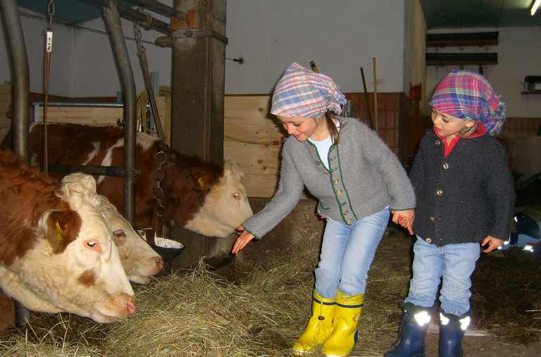 De kleintjes bezoeken een boerderij.